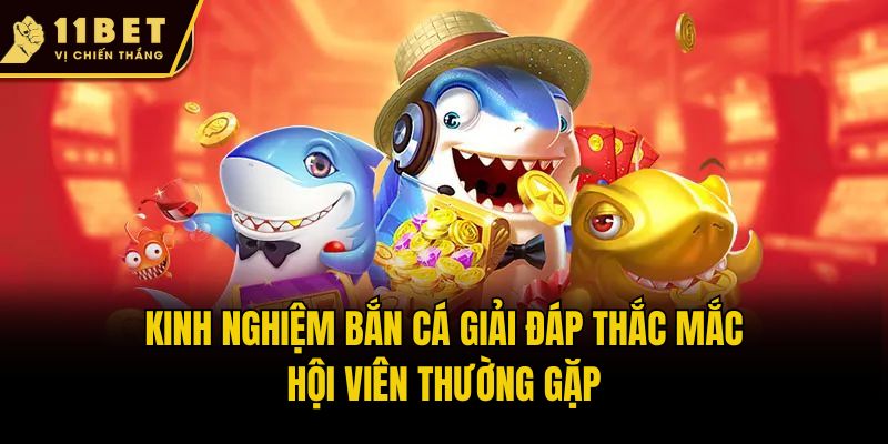 Kinh Nghiệm Bắn Cá 11bet Cho Người Mới Và Cao Thủ 2025 3 Kinh nghiệm bắn cá giải đáp thắc mắc hội viên thường gặp