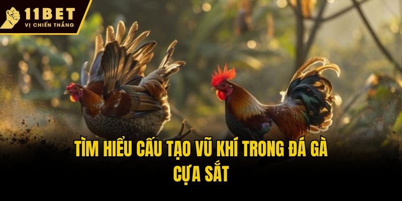 Đá Gà Cựa Sắt - Cuộc Chiến Nảy Lửa Giữa Các Chiến Kê 2 Tìm hiểu cấu tạo vũ khí trong đá gà cựa sắt